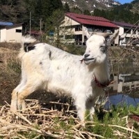 ゲストハウス山楽／移住お試しシェアハウス