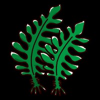 高木水産 わかめ養殖業