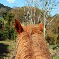 馬森（まもり）牧場