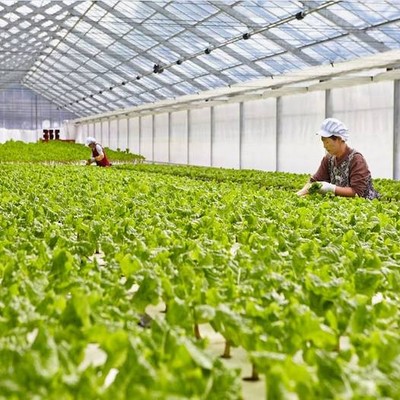 美味しい野菜を全国に届けます！一緒にいただきましょう！