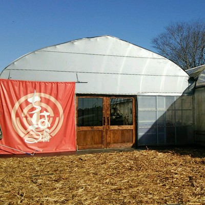 千葉市の都会でない側で、イチゴの植え付け作業に没頭する。土と苗と太陽と。。。