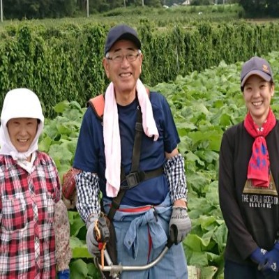 モトム！必殺ごぼう仕事人！！