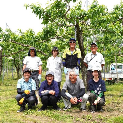 岐阜県飛騨市で『飛騨の桃』収穫・出荷のお手伝い大募集！休憩時間には桃食べ放題！
