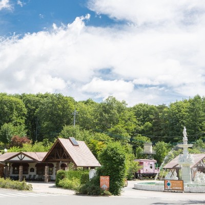 冬の八ヶ岳高原でのお仕事🌠星降る森八ヶ岳で【お部屋食の準備と後片付け】のおてつたび🌟♪休憩時間に観光もできます♪