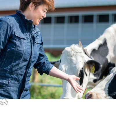 別海町で子牛のお世話と牛舎管理のお手伝い🐄～女性が活躍する家族経営牧場で酪農体験～
