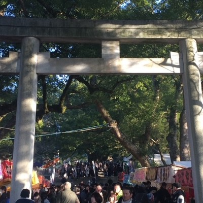 【お正月3が日】曾祖父の代から続く、阿波の国一之宮徳島鳴門市の大麻比古神社での初詣イベントを支えてくださる方を募集します！