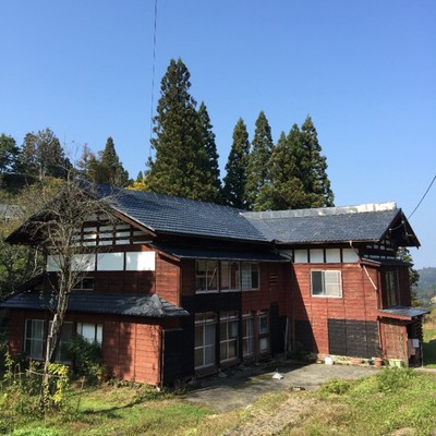 🌸🐱花ハス収穫×ネコ宿×SNS発信！古民家ゲストハウスで地域の魅力をお届けするお手伝い