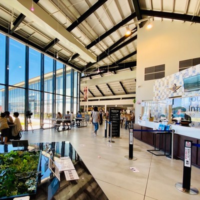 天草の観光を支える！イルカウォッチング受付のお仕事♪