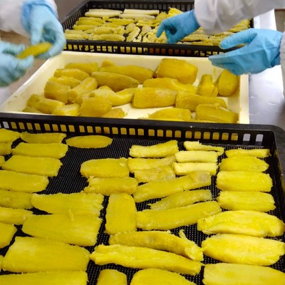 豪雪地津南町で干し芋作り♪越後妻有でお手伝いしませんか？(/・ω・)/