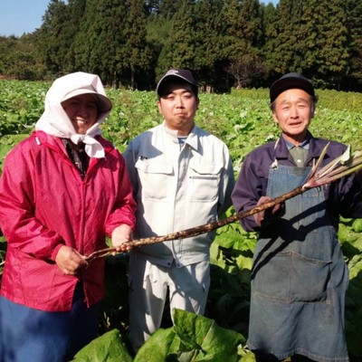 果樹栽培が盛んな南部藩発祥の地。ここでしか味わえない特産品の果物や野菜を一緒に育ててみませんか？