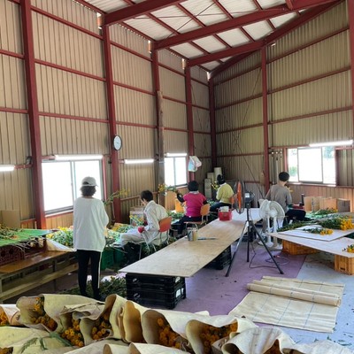 長野県 南相木村の大自然の中で、『花づくり』の思い出を！