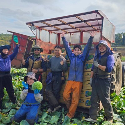 高原キャベツの村で涼風を感じながら収穫のおてつだい🥬嬬恋村の農業について知ってほしい！