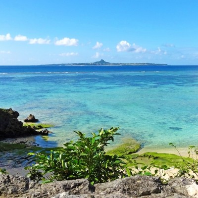 この夏オープン、ジャングリアの近く！沖縄で最高に思い出に残る体験を！！