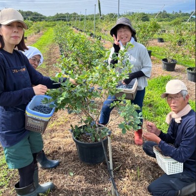 収穫から加工販売まで六次産業含めた農業の経営を体感することができる観光農園でおてつたび！標高700mから見渡せる景色は別格です。富士山・八ヶ岳・南アルプスに囲まれた開放感あふれる場所で、都会にはない大自然を満喫してみませんか？