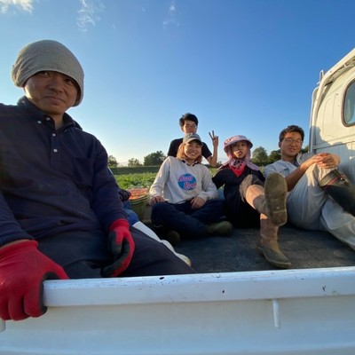 【8月9月の野菜収穫のお手伝い募集🎃！！※短期でも可！採用人数に限りあり】