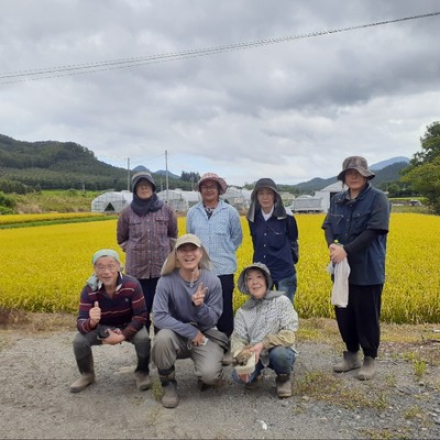 猛暑でトマトの生育が進み、人手が足りなくなりました。北海道最大のトマト産地でブランドトマト（ニシパの恋人）の収穫および管理作業に参加してみませんか？中山間地で人口より野生動物のほうが遥かに多い土地柄です。