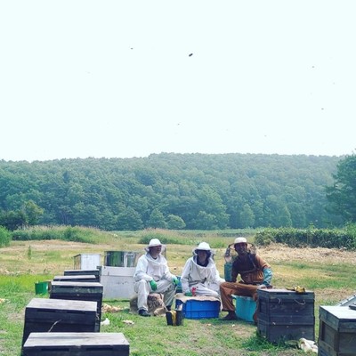 移動養蜂家の北海道拠点で養蜂のおてつたび🐝🍯
