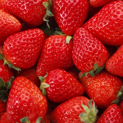 鬼の住む街"鬼北町"で、いちごの管理作業のお手伝い🍓