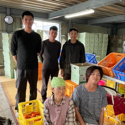 【千葉県多古町】車持込必須🚙成田空港に隣接“ちょうどいい加減”な「トカイナカ」で農業のおてつだい。ニンジンの収穫・選別作業をお願いします🥕