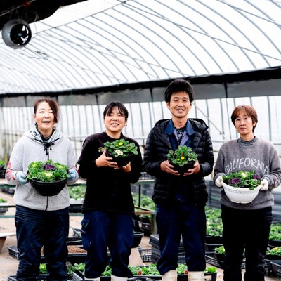 【広島県】自然に囲まれた竹原市で美味しい野菜の苗づくりをおてつだい