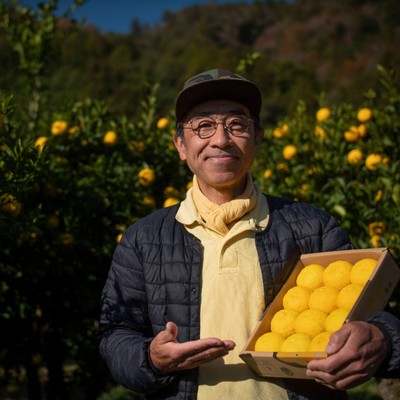 【2025年11月～】大自然の中でゆず搾り体験しませんか？🍊