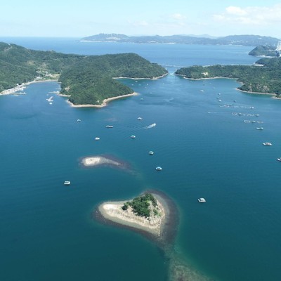 【移住に興味のある方歓迎🌱】海辺のリゾートエリアで特産品「鳴門らっきょ」のおてつたび！サイクリングも楽しめます🚴