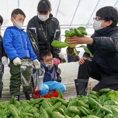 【３月】＼最北の村にて／イチゴの定植作業のお手伝いください！作業は２日間、猿払をご案内する時間もご用意！