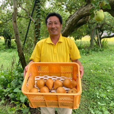 【6日間】ラ・フランスの収穫量日本一の山形県で収穫のお手伝いをしてみませんか？🍐