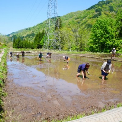 石川県白山市も春到来！5年目の米作りと旅館業務のお手伝い　募集します！