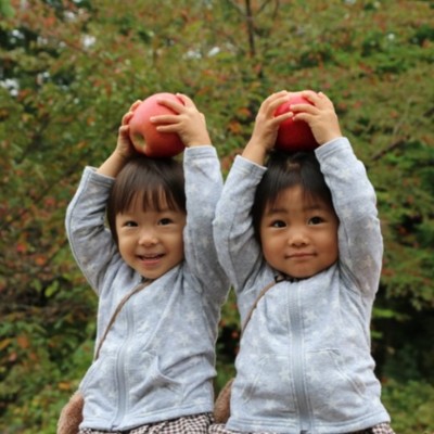 岐阜県飛騨市で『飛騨の桃』収穫・出荷のお手伝い大募集！休憩時間には桃食べ放題！