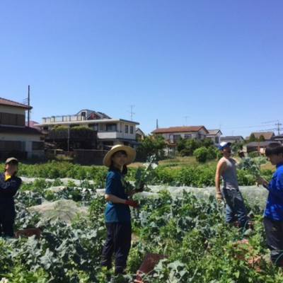 【食べチョクコラボ】都市近郊型農業☆脱サラ農家と一緒に農作業しませんか？