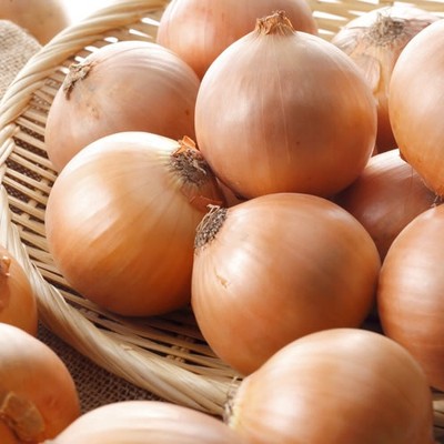 北海道の津別町で農作業のお手伝い！