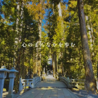 【聖地・高野山での暮らしはあなたの好奇心を満たすはず！】高野山デジタルミュージアムを拠点としながら、リニューアルしたばかりのカフェ、土産物店、宿坊寺院など、様々なお仕事に携わりませんか？心のままに日本の伝統文化の真髄を探求してみて下さい