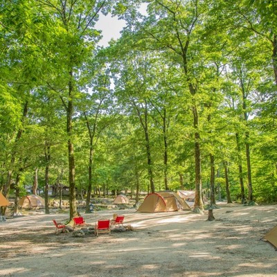 山の中で自然を満喫！アウトドアの魅力を体感しながら働きませんか？サウナー・キャンパー大歓迎！