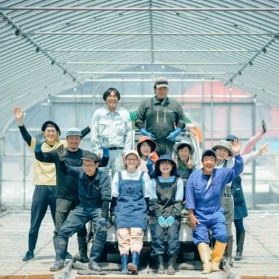 穏やかな日本海と残雪の山々。大自然に囲まれた新潟県糸魚川市で農業しませんか。米づくりのはじめの一歩「稲の種まき～苗づくり（すじまき）」のお手伝いを募集します！