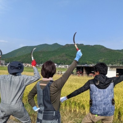 広い田園風景の中でお仕事！農作業、飲食、物販のお手伝い、地元の人と関わりながらお仕事しませんか？