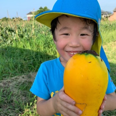 「おもしろ野菜生産所」で移動販売や野菜の種まきや植え付けのおてつたび！地域の方と関われるお手伝いもあり♪