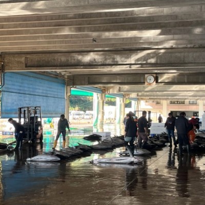 宮崎日南！「おいしいお魚を届けたい」地域に愛される商店で、マグロの出荷作業のおてつだい！力自慢の方、水産業に関わりたい方、大歓迎！！