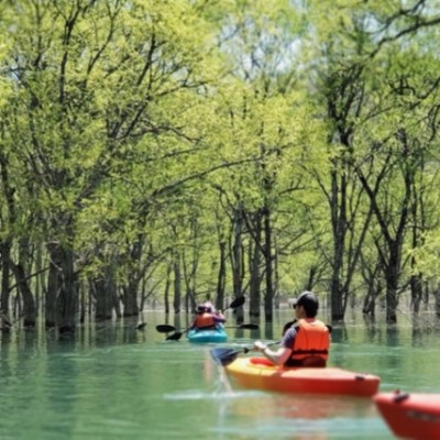 🌳山形県白川湖の水没林🌳観光シーズン運営のお手伝い　　豊かな自然の中で働きながら、新しい地域の魅力を発見！
