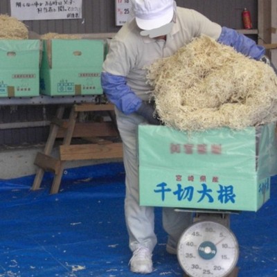 今が旬！生産量全国トップクラスの宮崎県で切干大根の箱詰めのお手伝いしてみませんか？