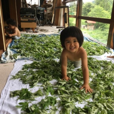 【空家再生】20万円で購入した空家を掃除して『移住お試しシェアハウス』を作るおてつたび。（第2期：男女3名募集）