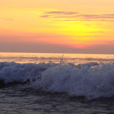 【日程調整可能】  蟹シーズン★京丹後の温泉宿でお手伝い！一緒にお客様をおもてなししませんか？