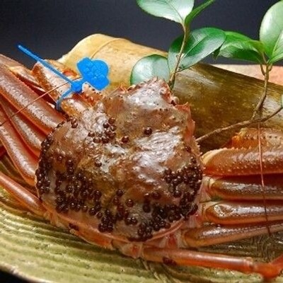 [12月]  蟹シーズン★京丹後の自然を満喫しながらお仕事しませんか？