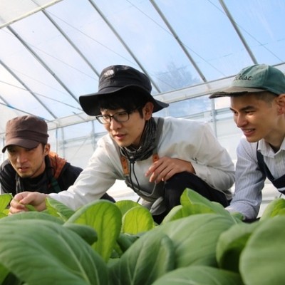 日本最北の村で、”熱い仲間たち”と葉物野菜やイチゴ🍓の収穫等をお手伝いしてみませんか？【第5弾】