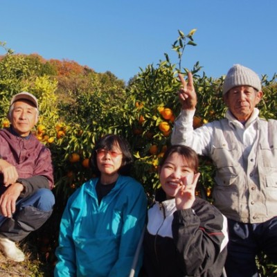 みかん収穫のおてつたび🍊豊かな自然と世界遺産があるまち熊野市で「はるみ🍊」の収穫のお手伝いしませんか？みかんたくさん食べてください🍊🍊🍊温泉もあります♨️