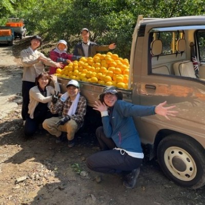 【GW5/4~5/7】柑橘収穫のお手伝い！（お手伝いは2日間）初夏が旬の希少な柑橘「河内晩柑」に触れてください！柑橘は冬だけではないんだよ^^仕事は楽しく、自由時間はもっと楽しく！おてつたびならではの経験を一緒に創りましょう！！