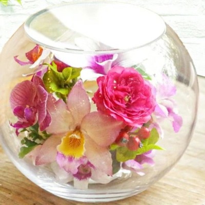 【短期募集開始！】熊本の楽天ショップ・オブ・ザ・イヤーを受賞した洋蘭農家へ母の日の胡蝶蘭出荷のお手伝いしませんか！？