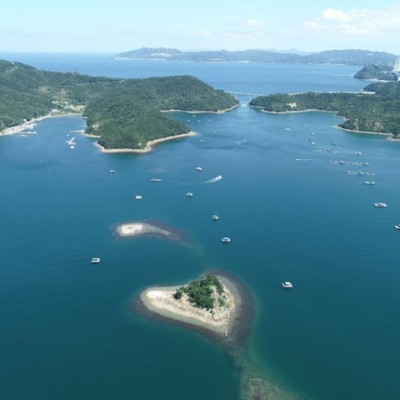 【屋内作業半日のみ🌱】海辺のリゾートエリアで特産品「鳴門らっきょ」のおてつたび！サイクリングも楽しめます🚴
