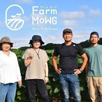 日帰りで参加できる方限定！キャベツやブロッコリーの定植作業のお手伝い！