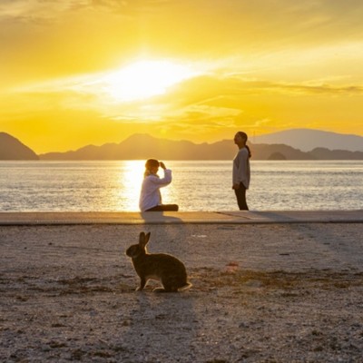 夕日がきれいな季節にレストランでおてつたび♪